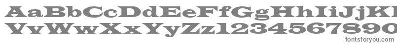 フォントWideLatin – 白い背景に灰色の文字