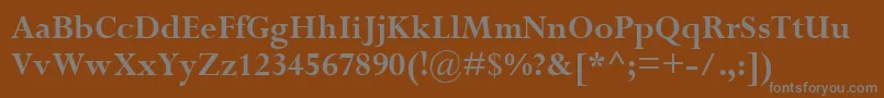 PerpetuaРџРѕР»СѓР¶РёСЂРЅС‹Р№ Font – Gray Fonts on Brown Background