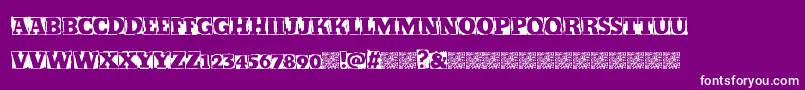 Kickstop Font – White Fonts on Purple Background
