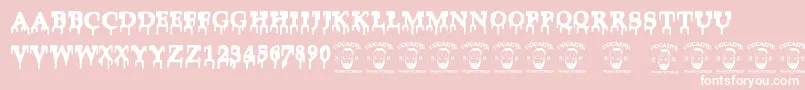 Cocaine Font – White Fonts on Pink Background