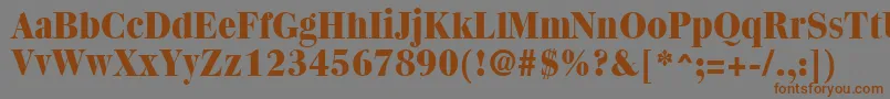 Quantasextrabold-fontti – ruskeat fontit harmaalla taustalla