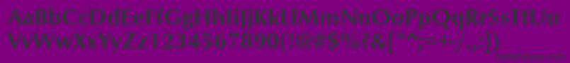 OptimumBold Font – Black Fonts on Purple Background