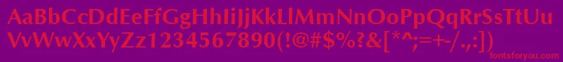 OptimumBold-Schriftart – Rote Schriften auf violettem Hintergrund