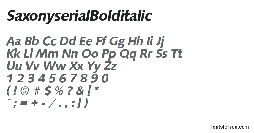 Czcionka SaxonyserialBolditalic – alfabet, cyfry, specjalne znaki