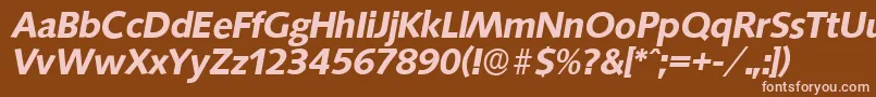 SaxonyserialBolditalic Font – Pink Fonts on Brown Background