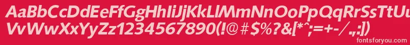 SaxonyserialBolditalic-fontti – vaaleanpunaiset fontit punaisella taustalla
