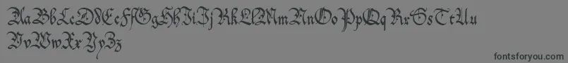 フォントOfc – 黒い文字の灰色の背景