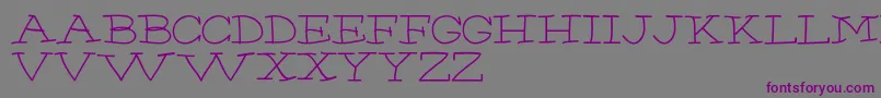 ChumpRegular Font – Purple Fonts on Gray Background