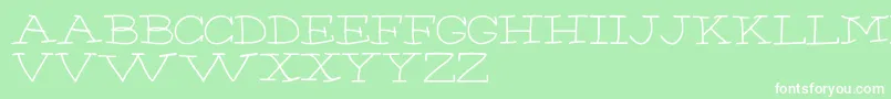 ChumpRegular Font – White Fonts on Green Background