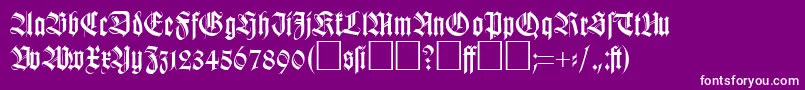 KochfrakturRegularDb Font – White Fonts on Purple Background