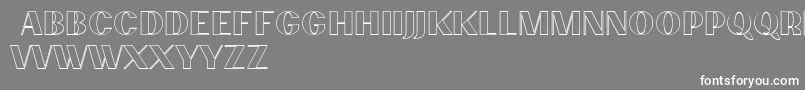 PassionsanspdcbOutlineheav Font – White Fonts on Gray Background