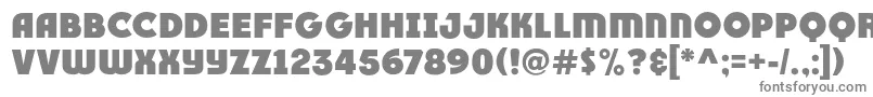 Race1BranntPlusNcv Font – Gray Fonts on White Background