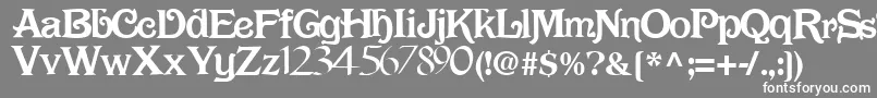 DarkRegularTtnorm Font – White Fonts on Gray Background