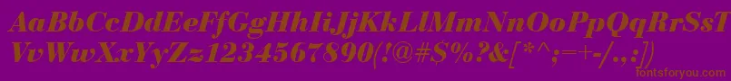 Шрифт Bodoni Bolditalic – коричневые шрифты на фиолетовом фоне