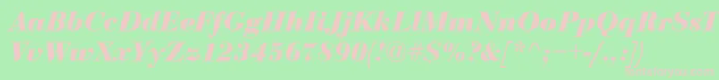 Bodoni Bolditalic Font – Pink Fonts on Green Background