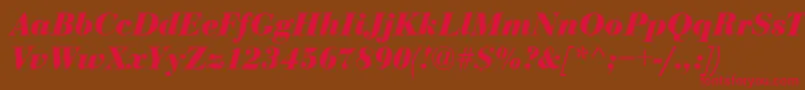 Bodoni Bolditalic Font – Red Fonts on Brown Background