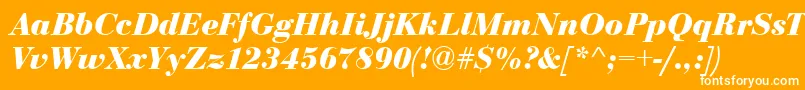 フォントBodoni Bolditalic – オレンジの背景に白い文字