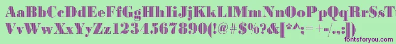 Bodonivert2Regular-Schriftart – Violette Schriften auf grünem Hintergrund