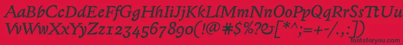 LexongothicItalic Font – Black Fonts on Red Background