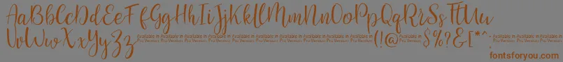SaniesScript Font – Brown Fonts on Gray Background