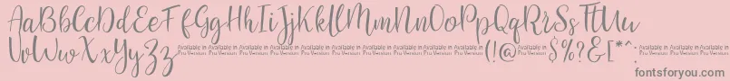SaniesScript-Schriftart – Graue Schriften auf rosa Hintergrund