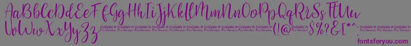 Police SaniesScript – polices violettes sur fond gris