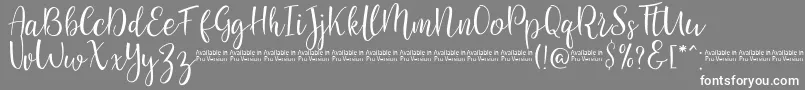 SaniesScript Font – White Fonts on Gray Background