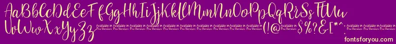 SaniesScript Font – Yellow Fonts on Purple Background