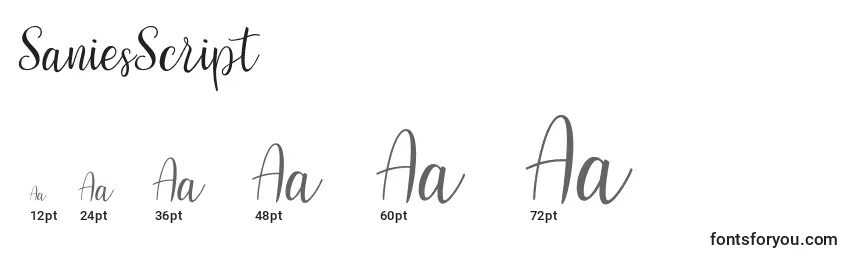 SaniesScript Font Sizes