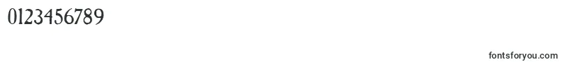 Caslonantt Font – Fonts for Numbers and Digits