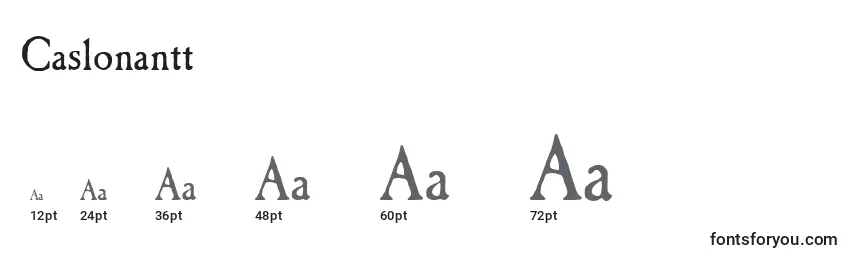Caslonantt Font Sizes