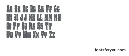 Review of the Bogbeastcond Font