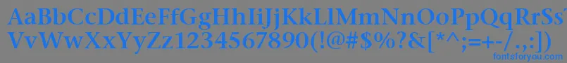 フォントStoneSerifItcSemi – 灰色の背景に青い文字