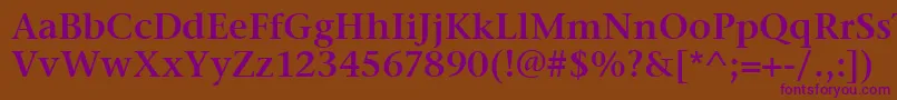 StoneSerifItcSemi Font – Purple Fonts on Brown Background