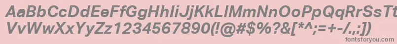 AktivgroteskcorpBolditalic Font – Gray Fonts on Pink Background