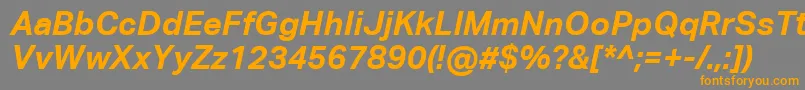 AktivgroteskcorpBolditalic Font – Orange Fonts on Gray Background