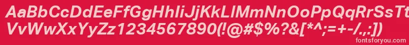 AktivgroteskcorpBolditalic Font – Pink Fonts on Red Background