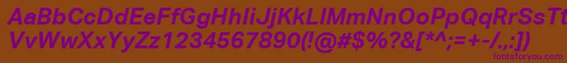 AktivgroteskcorpBolditalic Font – Purple Fonts on Brown Background