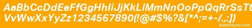 AktivgroteskcorpBolditalic Font – White Fonts on Orange Background