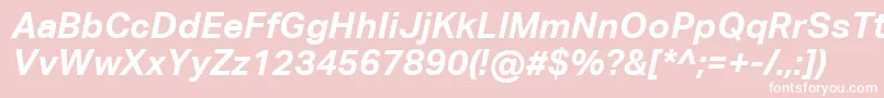 AktivgroteskcorpBolditalic Font – White Fonts on Pink Background