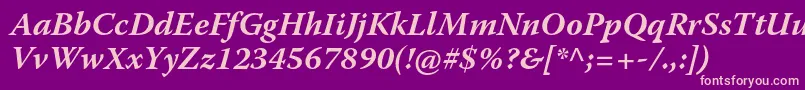 Police WarnockproBoldit – polices roses sur fond violet