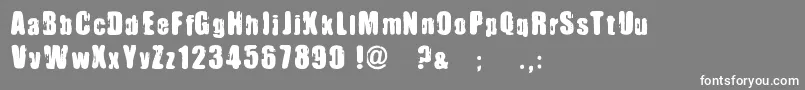 フォントImmoralPact – 灰色の背景に白い文字