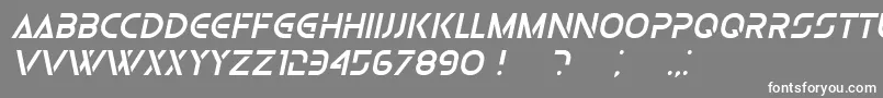 OlgaItalic Font – White Fonts on Gray Background