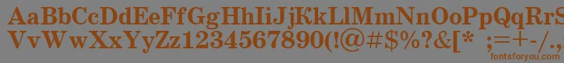 Schoolbook.KzBold Font – Brown Fonts on Gray Background