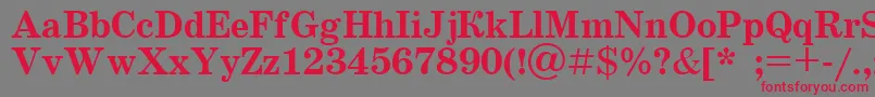 Schoolbook.KzBold Font – Red Fonts on Gray Background