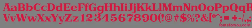 PriamosserialXboldRegular Font – Red Fonts on Gray Background