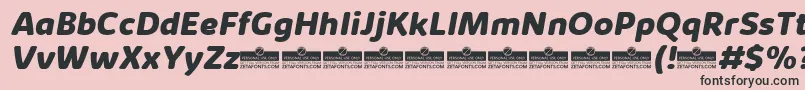 KabrioAbarthExtraboldItalicTrial Font – Black Fonts on Pink Background