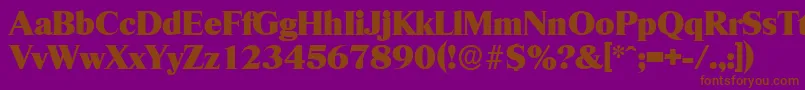 RiccioneserialHeavyRegular Font – Brown Fonts on Purple Background