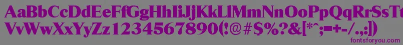 RiccioneserialHeavyRegular Font – Purple Fonts on Gray Background