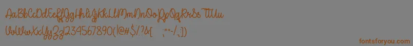 APerfectPlaceOtf Font – Brown Fonts on Gray Background